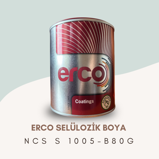 ERCO Selülozik Boya NCS S 1005-B80G ERCO Selülozik Boya NCS S 1005-B80G