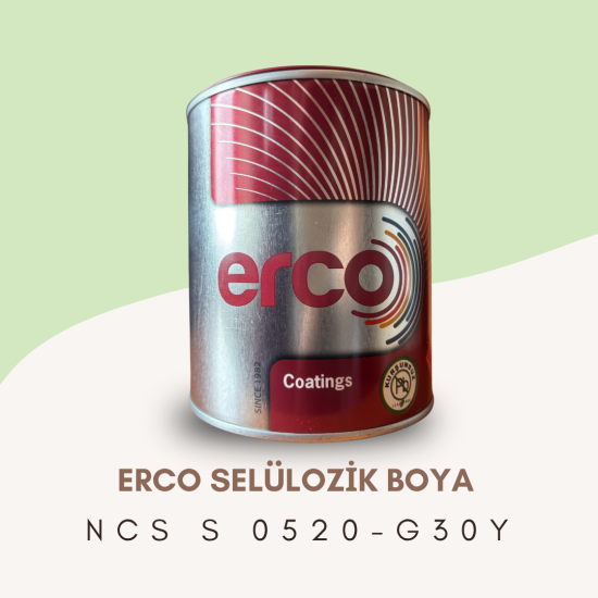 ERCO Selülozik Boya NCS S 0520-G30Y