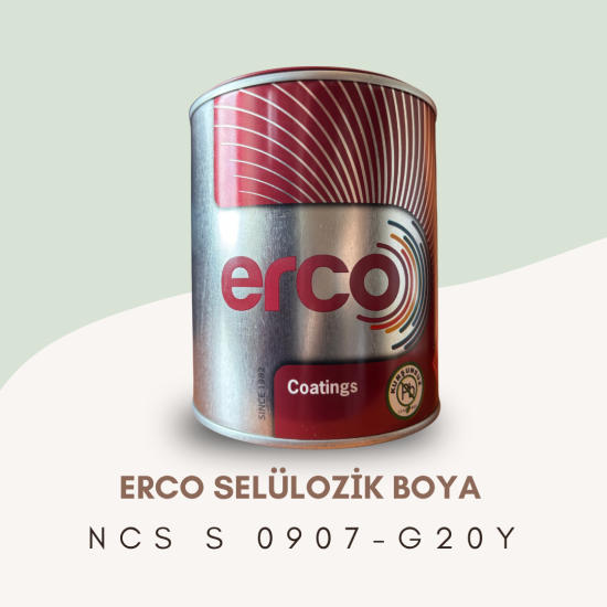 ERCO Selülozik Boya NCS S 0907-G20Y