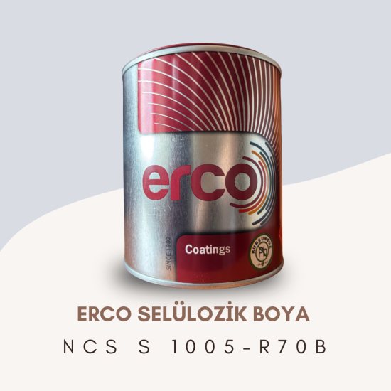 ERCO Selülozik Boya NCS S 1005-R70B