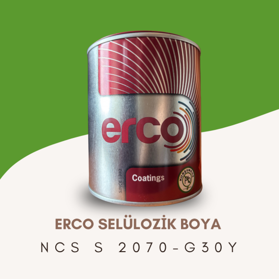 ERCO Selülozik Boya NCS S 2070-G30Y