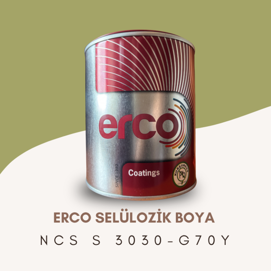 ERCO Selülozik Boya NCS S 3030-G70Y