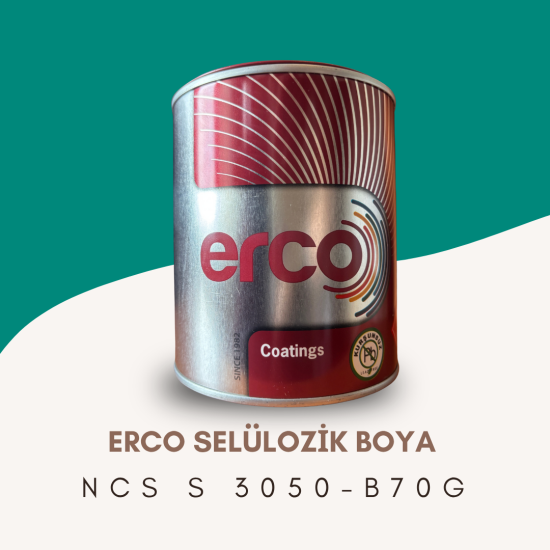 ERCO Selülozik Boya NCS S 3050-B70G