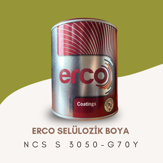 ERCO Selülozik Boya NCS S 3050-G70Y