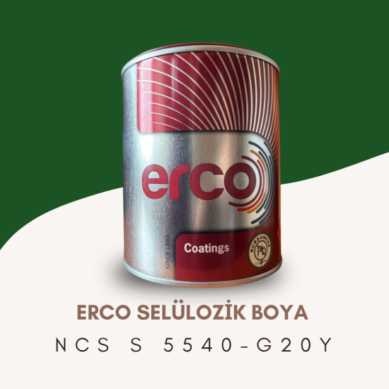 ERCO Selülozik Boya NCS S 5540-G20Y