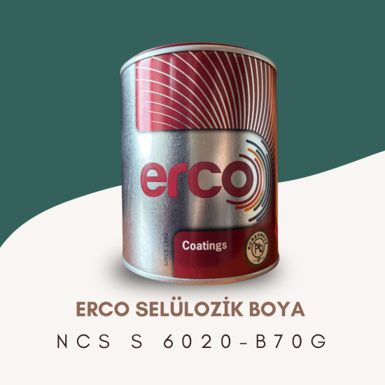 ERCO Selülozik Boya NCS S 6020-B70G
