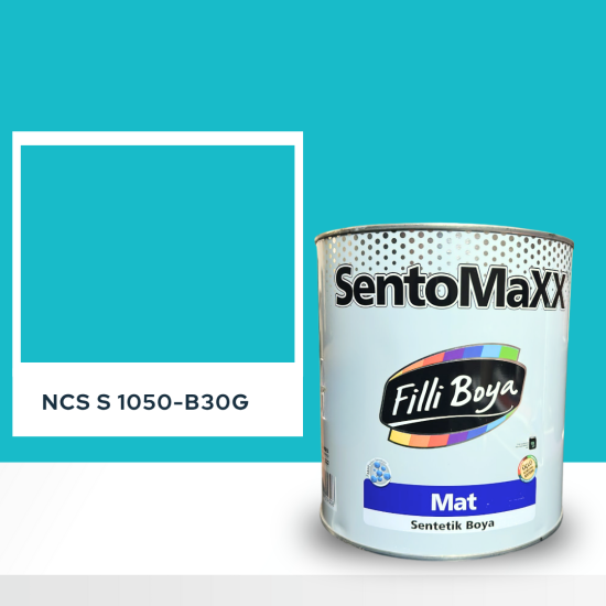 ERCO Selülozik Boya NCS S 1050-B20G