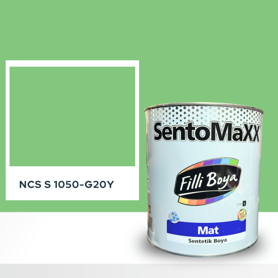 ERCO Selülozik Boya NCS S 1050-G20Y