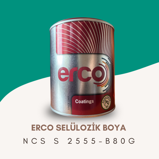ERCO Selülozik Boya NCS S 2555-B80G