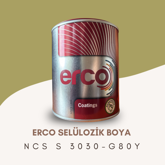 ERCO Selülozik Boya NCS S 3030-G80Y