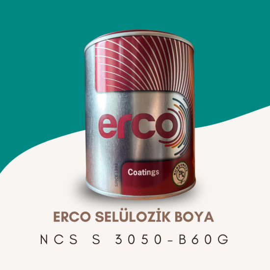 ERCO Selülozik Boya NCS S 3050-B60G