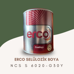 ERCO Selülozik Boya NCS S 6020-G30Y