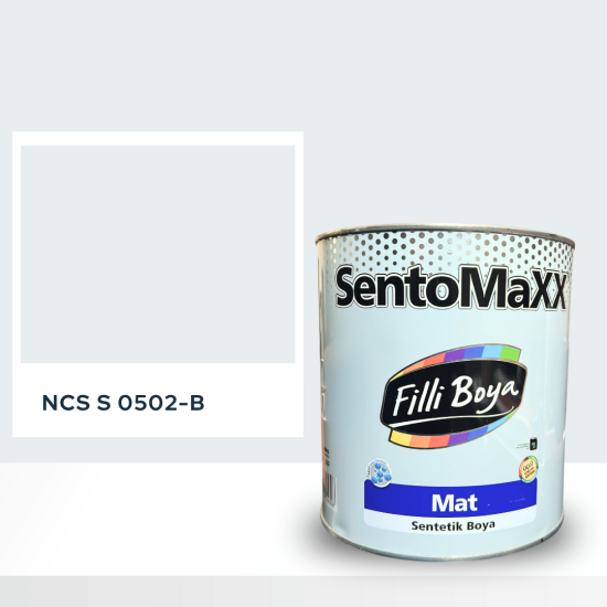 Filli Boya Sentomaxx Boya NCS S 0502-B Filli Boya Sentomaxx Boya NCS S 0502-B