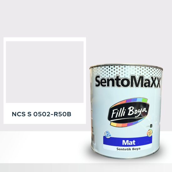 Filli Boya Sentomaxx Boya NCS S 0502-R50B Filli Boya Sentomaxx Boya NCS S 0502-R50B