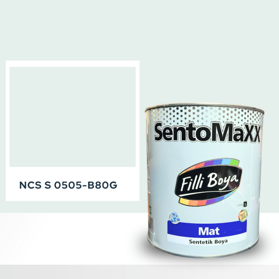 Filli Boya Sentomaxx Boya NCS S 0505-B80G Filli Boya Sentomaxx Boya NCS S 0505-B80G