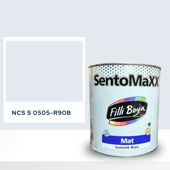Filli Boya Sentomaxx Boya NCS S 0505-R90B Filli Boya Sentomaxx Boya NCS S 0505-R90B