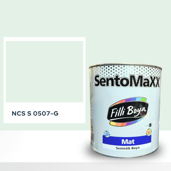 Filli Boya Sentomaxx Boya NCS S 0507-G Filli Boya Sentomaxx Boya NCS S 0507-G