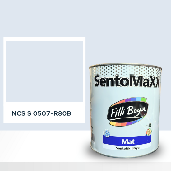 Filli Boya Sentomaxx Boya NCS S 0507-R80B Filli Boya Sentomaxx Boya NCS S 0507-R80B