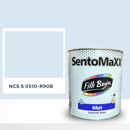 Filli Boya Sentomaxx Boya NCS S 0510-R90B Filli Boya Sentomaxx Boya NCS S 0510-R90B