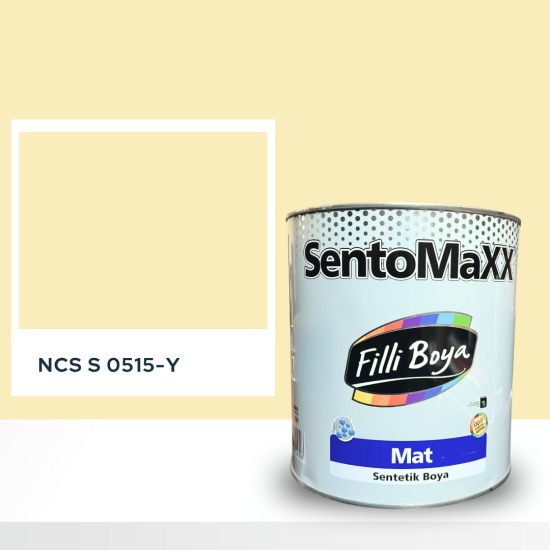 Filli Boya Sentomaxx Boya NCS S 0515-Y