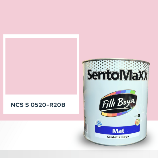 Filli Boya Sentomaxx Boya NCS S 0520-R20B Filli Boya Sentomaxx Boya NCS S 0520-R20B