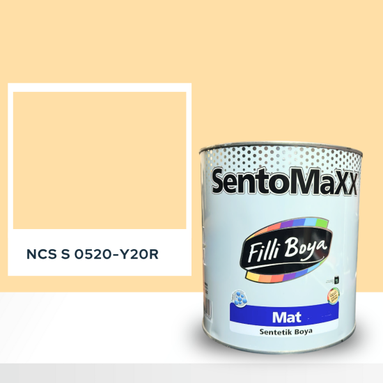 Filli Boya Sentomaxx Boya NCS S 0520-Y20R Filli Boya Sentomaxx Boya NCS S 0520-Y20R