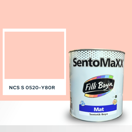 Filli Boya Sentomaxx Boya NCS S 0520-Y80R Filli Boya Sentomaxx Boya NCS S 0520-Y80R