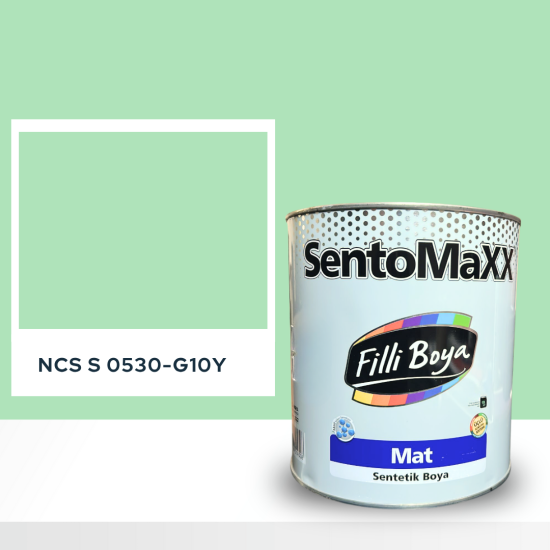 Filli Boya Sentomaxx Boya NCS S 0530-G10Y Filli Boya Sentomaxx Boya NCS S 0530-G10Y