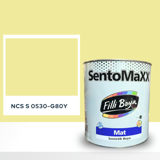 Filli Boya Sentomaxx Boya NCS S 0530-G80Y Filli Boya Sentomaxx Boya NCS S 0530-G80Y