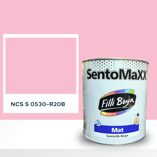 Filli Boya Sentomaxx Boya NCS S 0530-R20B Filli Boya Sentomaxx Boya NCS S 0530-R20B