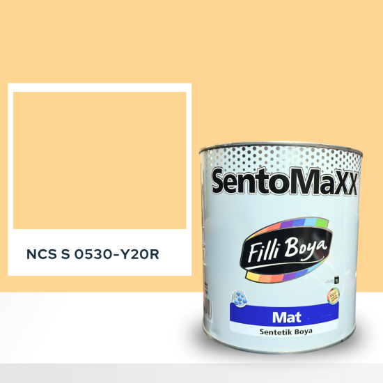 Filli Boya Sentomaxx Boya NCS S 0530-Y20R Filli Boya Sentomaxx Boya NCS S 0530-Y20R