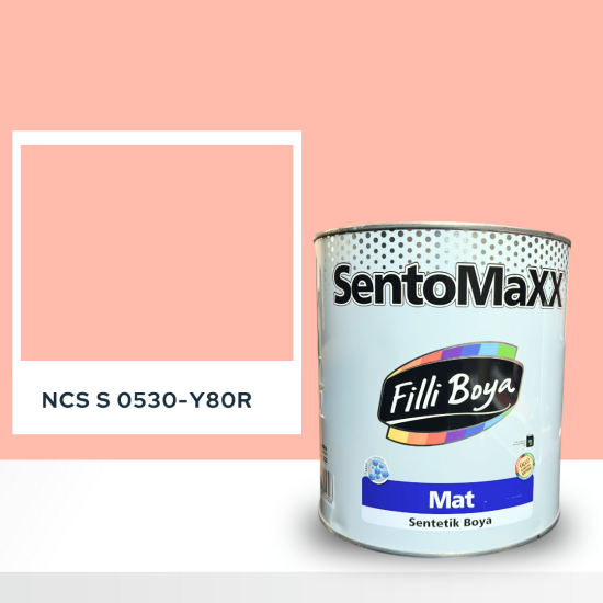 Filli Boya Sentomaxx Boya NCS S 0530-Y80R Filli Boya Sentomaxx Boya NCS S 0530-Y80R