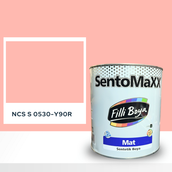 Filli Boya Sentomaxx Boya NCS S 0530-Y90R Filli Boya Sentomaxx Boya NCS S 0530-Y90R