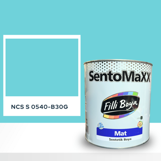 Filli Boya Sentomaxx Boya NCS S 0540-B30G Filli Boya Sentomaxx Boya NCS S 0540-B30G