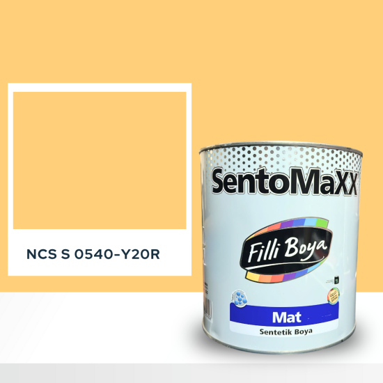 Filli Boya Sentomaxx Boya NCS S 0540-Y20R Filli Boya Sentomaxx Boya NCS S 0540-Y20R