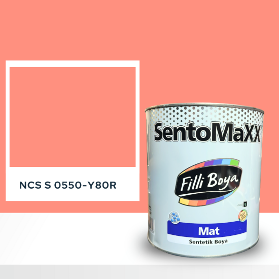 Filli Boya Sentomaxx Boya NCS S 0550-Y80R Filli Boya Sentomaxx Boya NCS S 0550-Y80R