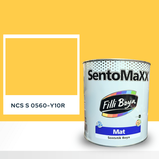 Filli Boya Sentomaxx Boya NCS S 0560-Y10R Filli Boya Sentomaxx Boya NCS S 0560-Y10R