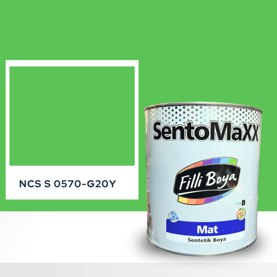 Filli Boya Sentomaxx Boya NCS S 0570-G20Y Filli Boya Sentomaxx Boya NCS S 0570-G20Y