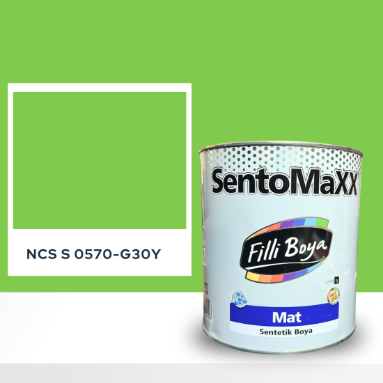 Filli Boya Sentomaxx Boya NCS S 0570-G30Y Filli Boya Sentomaxx Boya NCS S 0570-G30Y