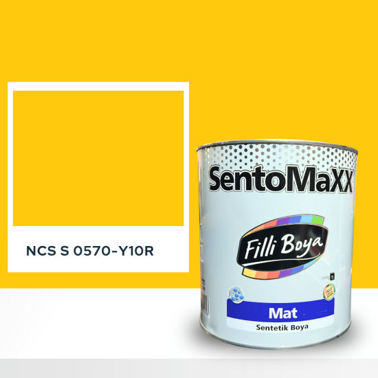 Filli Boya Sentomaxx Boya NCS S 0570-Y10R Filli Boya Sentomaxx Boya NCS S 0570-Y10R