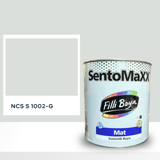Filli Boya Sentomaxx Boya NCS S 1002-G Filli Boya Sentomaxx Boya NCS S 1002-G