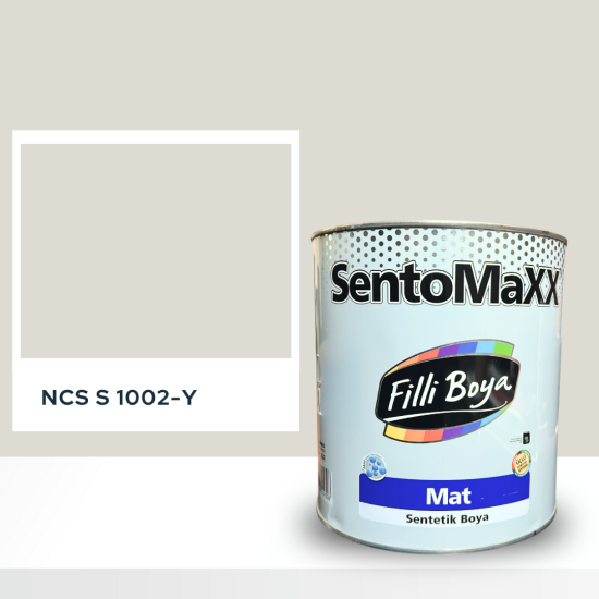 Filli Boya Sentomaxx Boya NCS S 1002-Y Filli Boya Sentomaxx Boya NCS S 1002-Y
