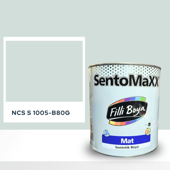 Filli Boya Sentomaxx Boya NCS S 1005-B80G Filli Boya Sentomaxx Boya NCS S 1005-B80G