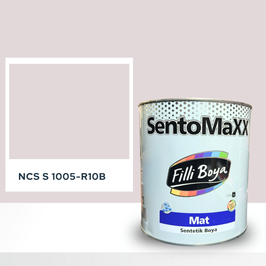 Filli Boya Sentomaxx Boya NCS S 1005-R10B Filli Boya Sentomaxx Boya NCS S 1005-R10B
