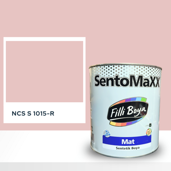 Filli Boya Sentomaxx Boya NCS S 1015-R Filli Boya Sentomaxx Boya NCS S 1015-R