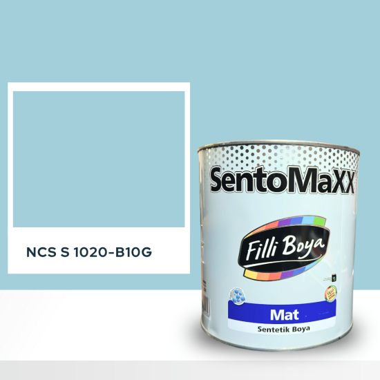 Filli Boya Sentomaxx Boya NCS S 1020-B10G Filli Boya Sentomaxx Boya NCS S 1020-B10G