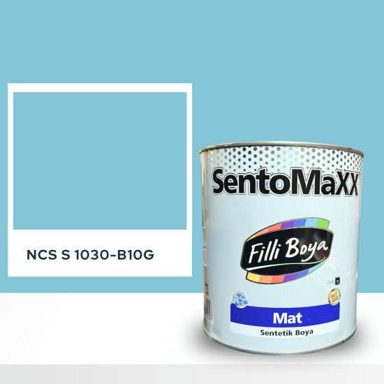 Filli Boya Sentomaxx Boya NCS S 1030-B10G Filli Boya Sentomaxx Boya NCS S 1030-B10G