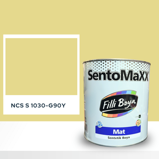 Filli Boya Sentomaxx Boya NCS S 1030-G90Y Filli Boya Sentomaxx Boya NCS S 1030-G90Y