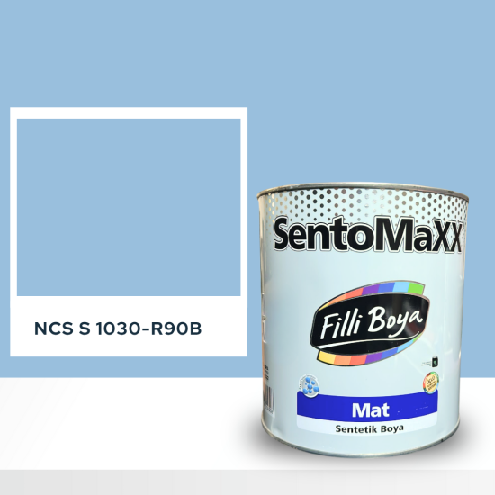 Filli Boya Sentomaxx Boya NCS S 1030-R90B Filli Boya Sentomaxx Boya NCS S 1030-R90B