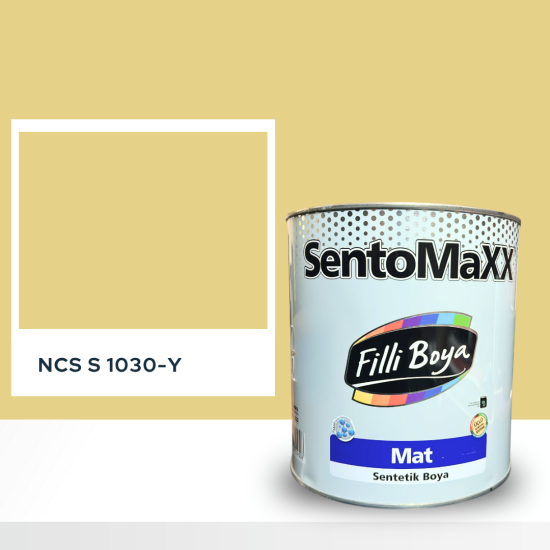 Filli Boya Sentomaxx Boya NCS S 1030-Y Filli Boya Sentomaxx Boya NCS S 1030-Y
